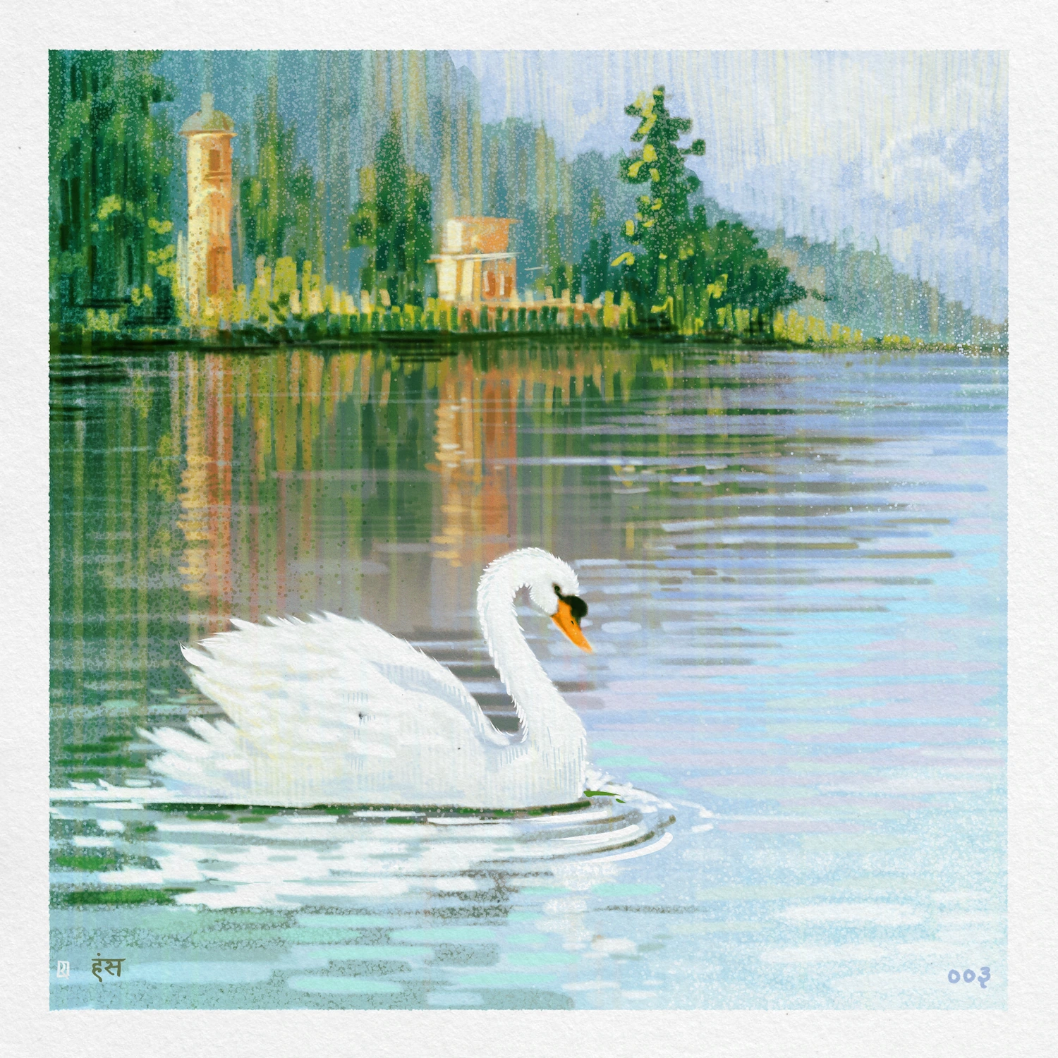 A swan in a lake